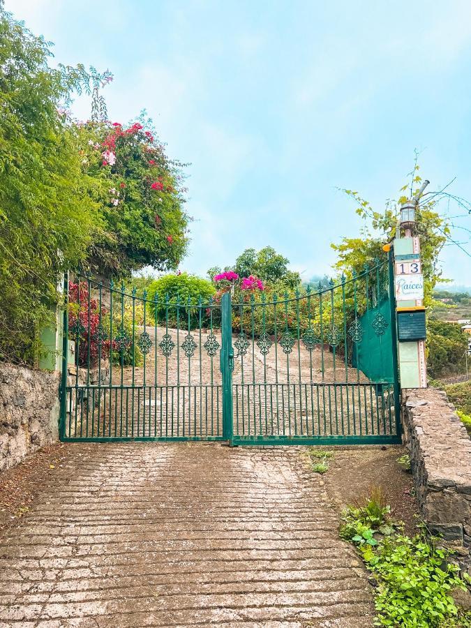 Apartment With Huge Deck Nestled In Marvelous Gardens - Nidos La Orotava Zewnętrze zdjęcie