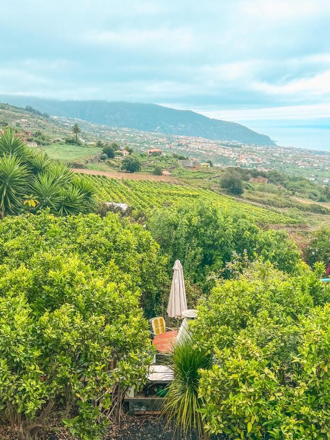 Apartment With Huge Deck Nestled In Marvelous Gardens - Nidos La Orotava Zewnętrze zdjęcie