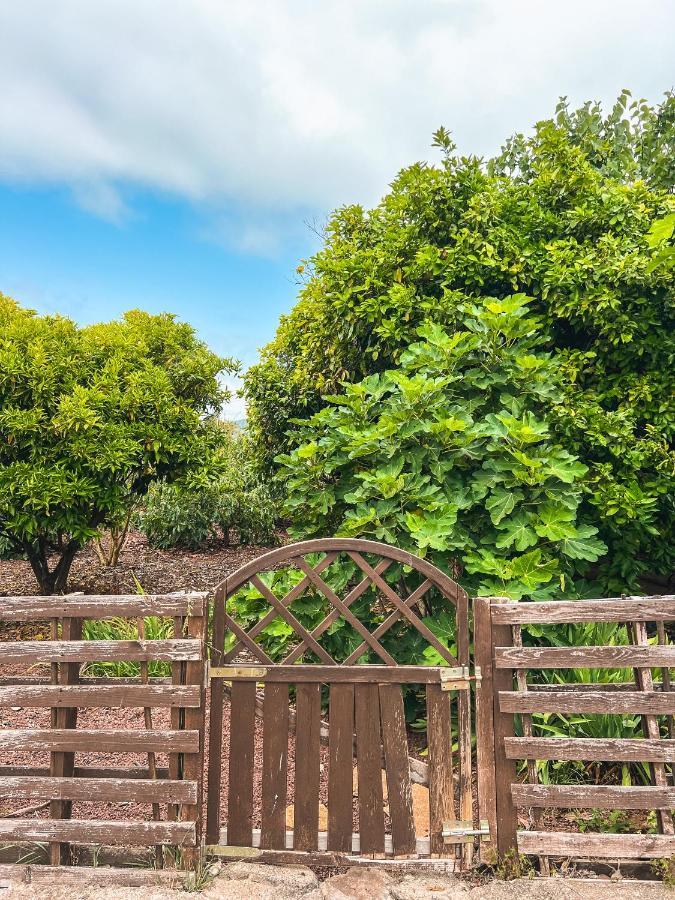 Apartment With Huge Deck Nestled In Marvelous Gardens - Nidos La Orotava Zewnętrze zdjęcie